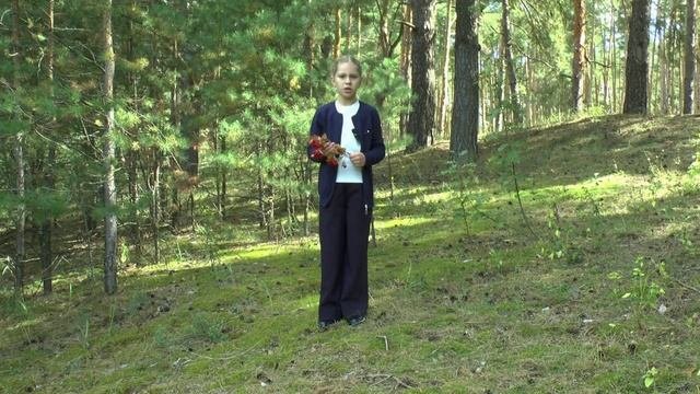 Сергей Есенин. Лебедушки.