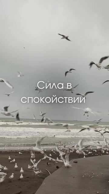 Пребывай в спокойствии😌 ©DegDi🔥