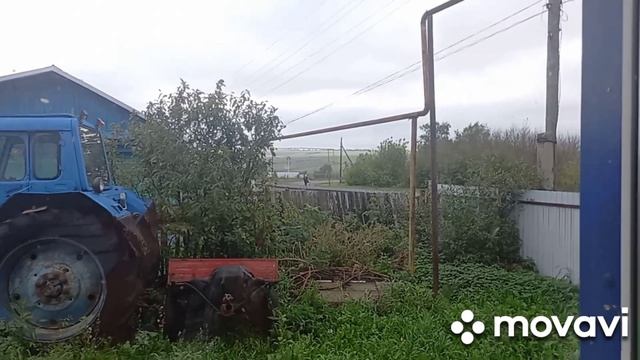 ласточки