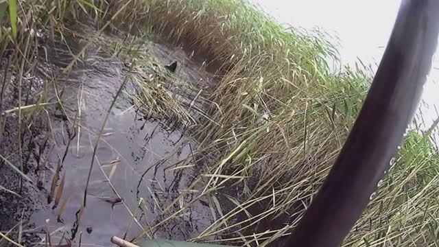 Ловля КРУПНОЙ РЫБЫ при с.восточном ВЕТРЕ