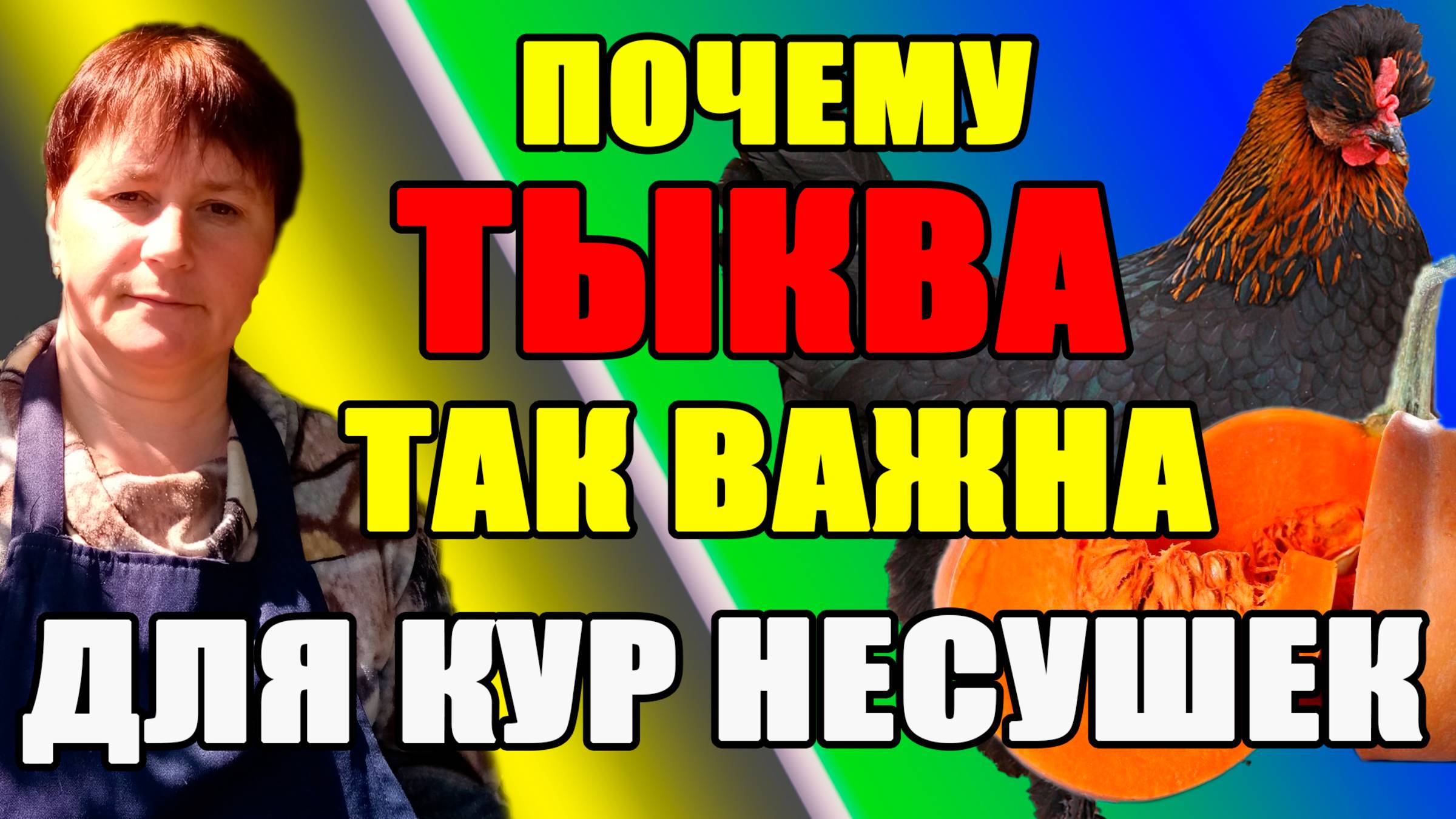 Как ТЫКВА повышает яйценоскость у кур.