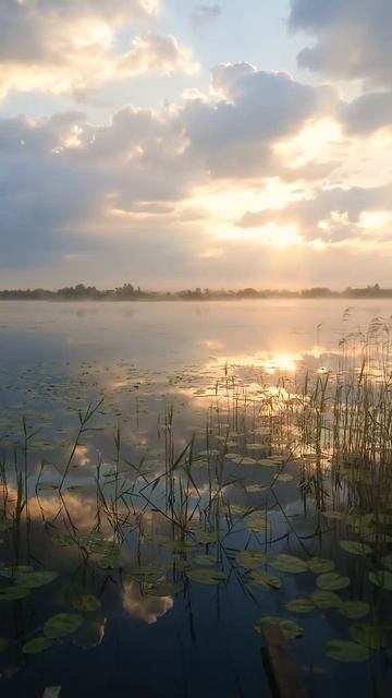 VID_20250906_180241_239.mp4