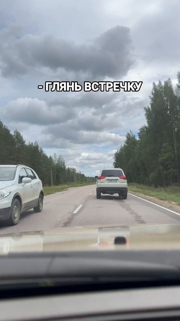 Дорожная прислуга 🤯 Ваш тоже так делает?