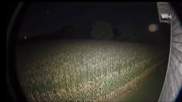 Круги на полях