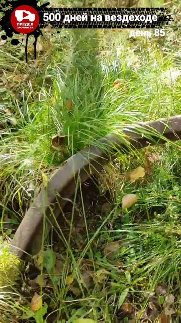 Двигаемся в тайге по бывшим узколейкам ГУЛАГа.
Остатки лагерей ГУЛАГа в Томской тайге.
500 дней на