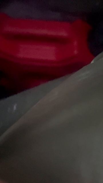 Канистра в кошачьем туалете