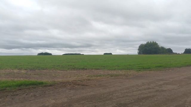 снова они