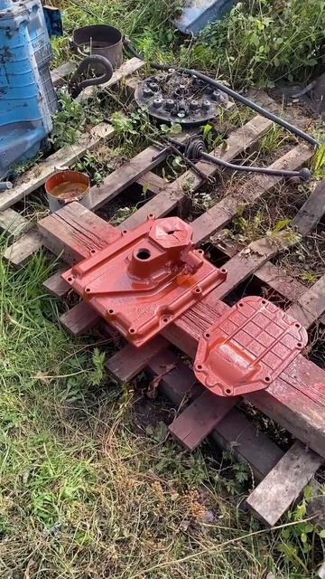 Игривое настроение!