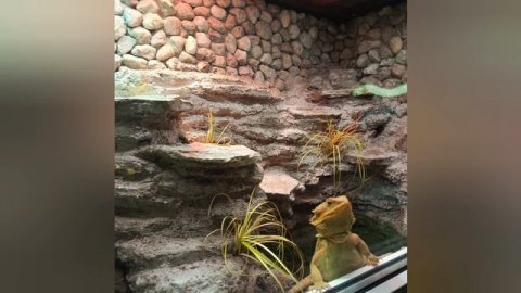 Калининградский зоопарк 2025 год.