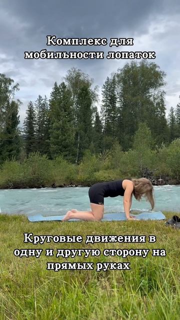 Комплекс для мобильности лопаток