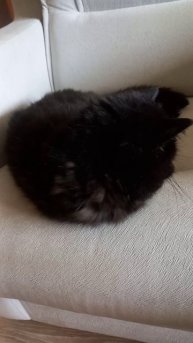 Воскресение