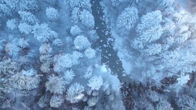 Видео в буквах