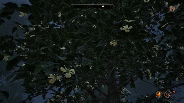 The Road To Cheydinhal