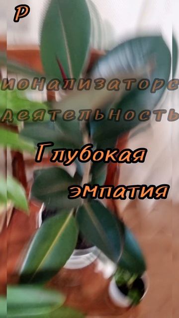 7 сентября.
АСТРОЛОГИЯ ДНЯ.
Развитая интуиция, богатое воображение.
(Глубокая эмпатия.)
Склонность