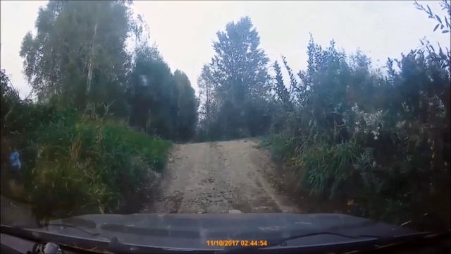 Берёзовая Роща на деревне туман