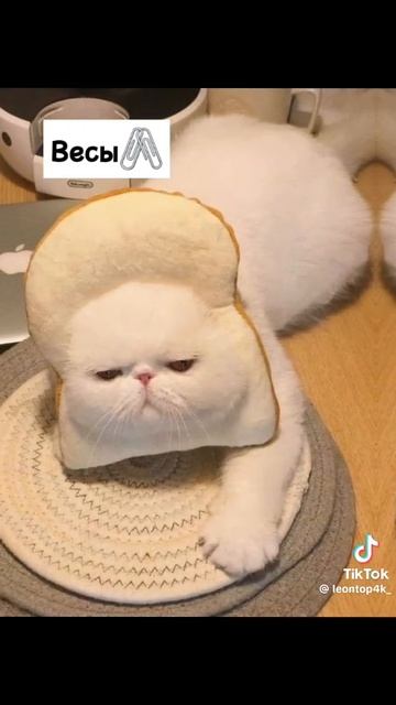 ла