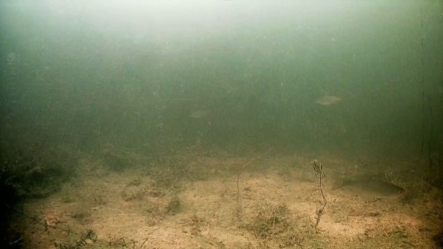 1000016655.mp4