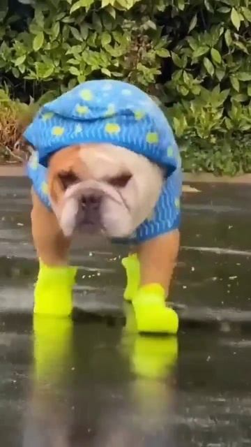 А ты уже достал осенние вещи?😁☔️