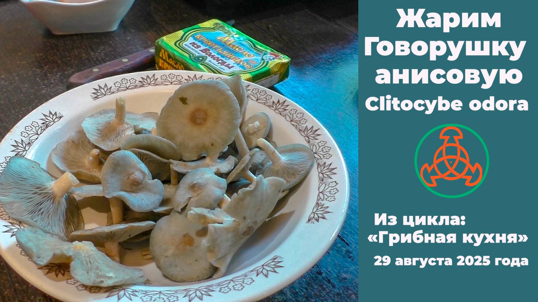 Жарим Говорушку пахучую (анисовую) -  Clitocybe Odora. 