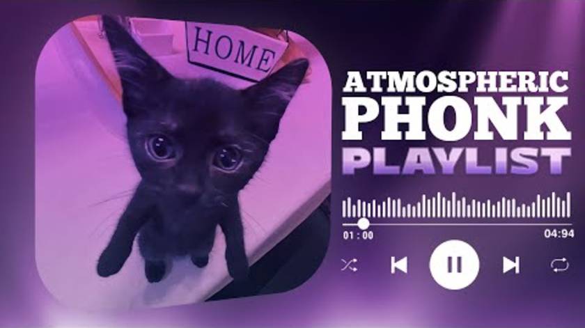 BEST PHONK MIX _ ATMOSPHERIC PHONK PLAYLIST _ CHILL PHONK _ NIGHT DRIVE MUSIC _ PHONK (видео не моё)