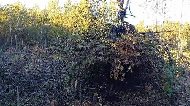 Освоение неразработанного участка, земли населенных пунктов, город Вологда ( Часть 7)