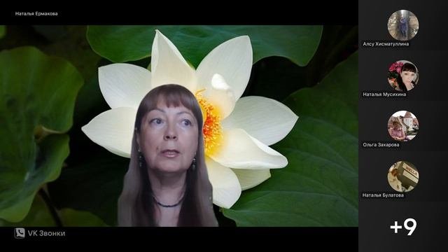 Медитация к Пульсару ( кристаллической решетке Земли )через Залы с кристаллами