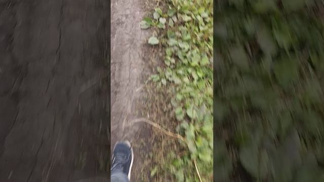 ищу бомжа в полях