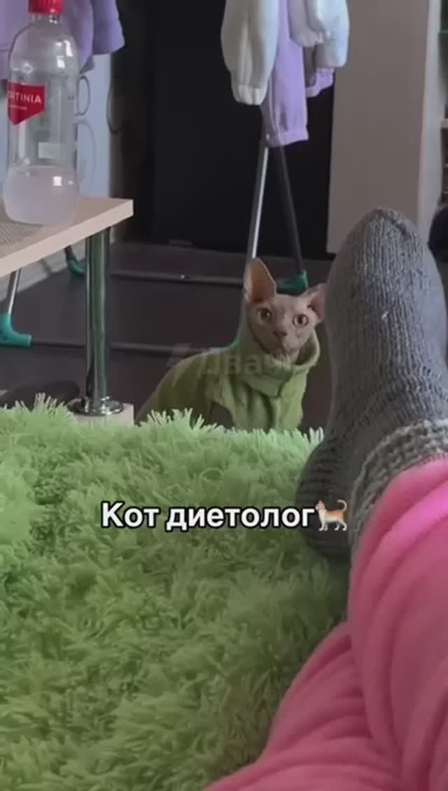 Наташа, хватит жрать