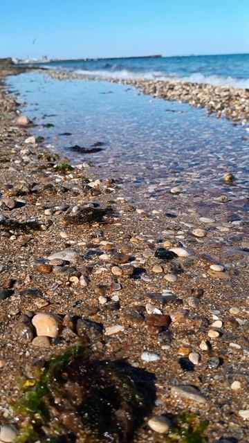 река у моря