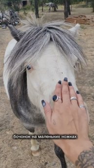 РОЗА - НЕ ПОНИ, А МАЛЕНЬКАЯ СОБАЧКА-ПОПРОШАЙКА! 🦄