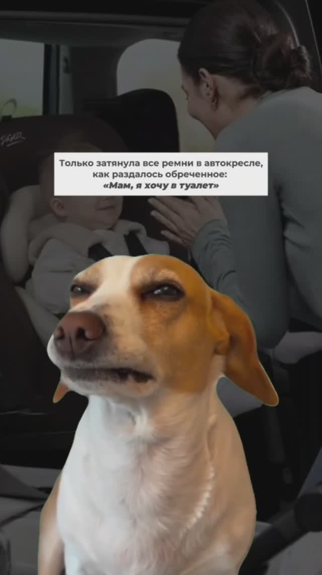 ТИПИЧНАЯ ПОЕЗДКА НА МАШИНЕ С РЕБЕНКОМ| ДЕТСКАЯ БЕЗОПАСНОСТЬ | АВТОКРЕСЛА SIGER