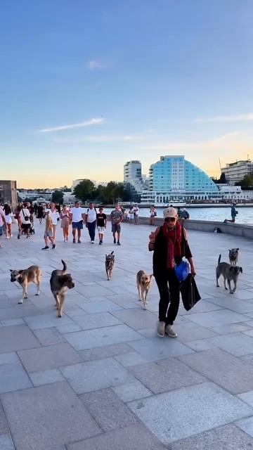 VID_20250908_042928_416.mp4