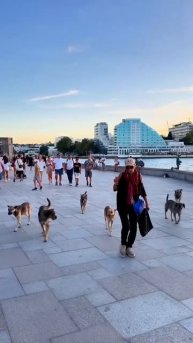 VID_20250908_042928_416.mp4