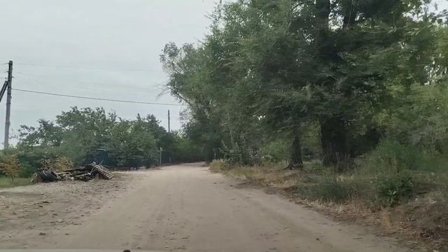 Купили корм для курей