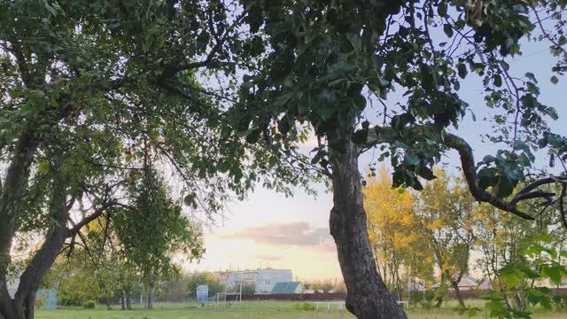 гуляем в яблонях вечером в деревне, спокойная и тихая деревенская жизнь