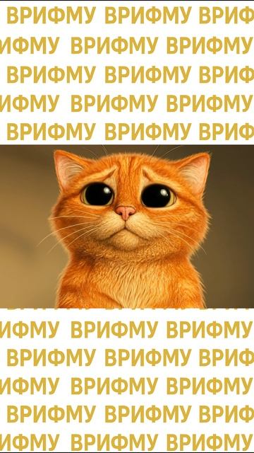 🥺 Сегодня отмечается День извинений