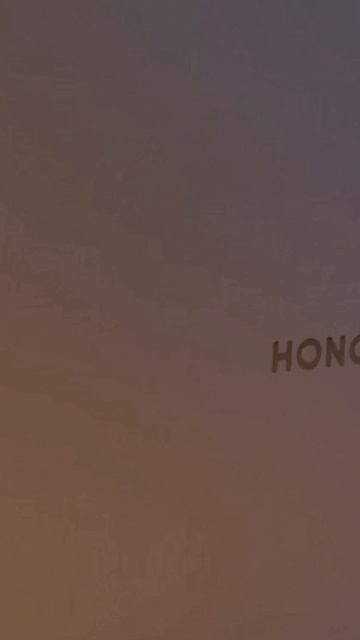 это Honor MagicBook X16 2025 Amd