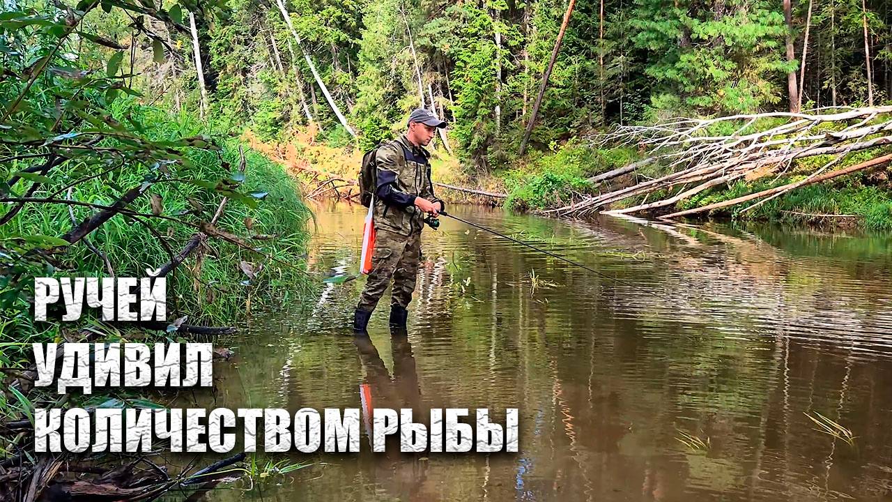 Рыбалка на небольшой реке