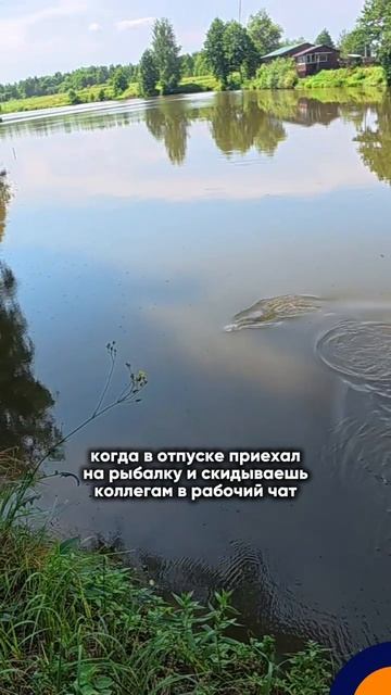 А как там ваши отчеты?)