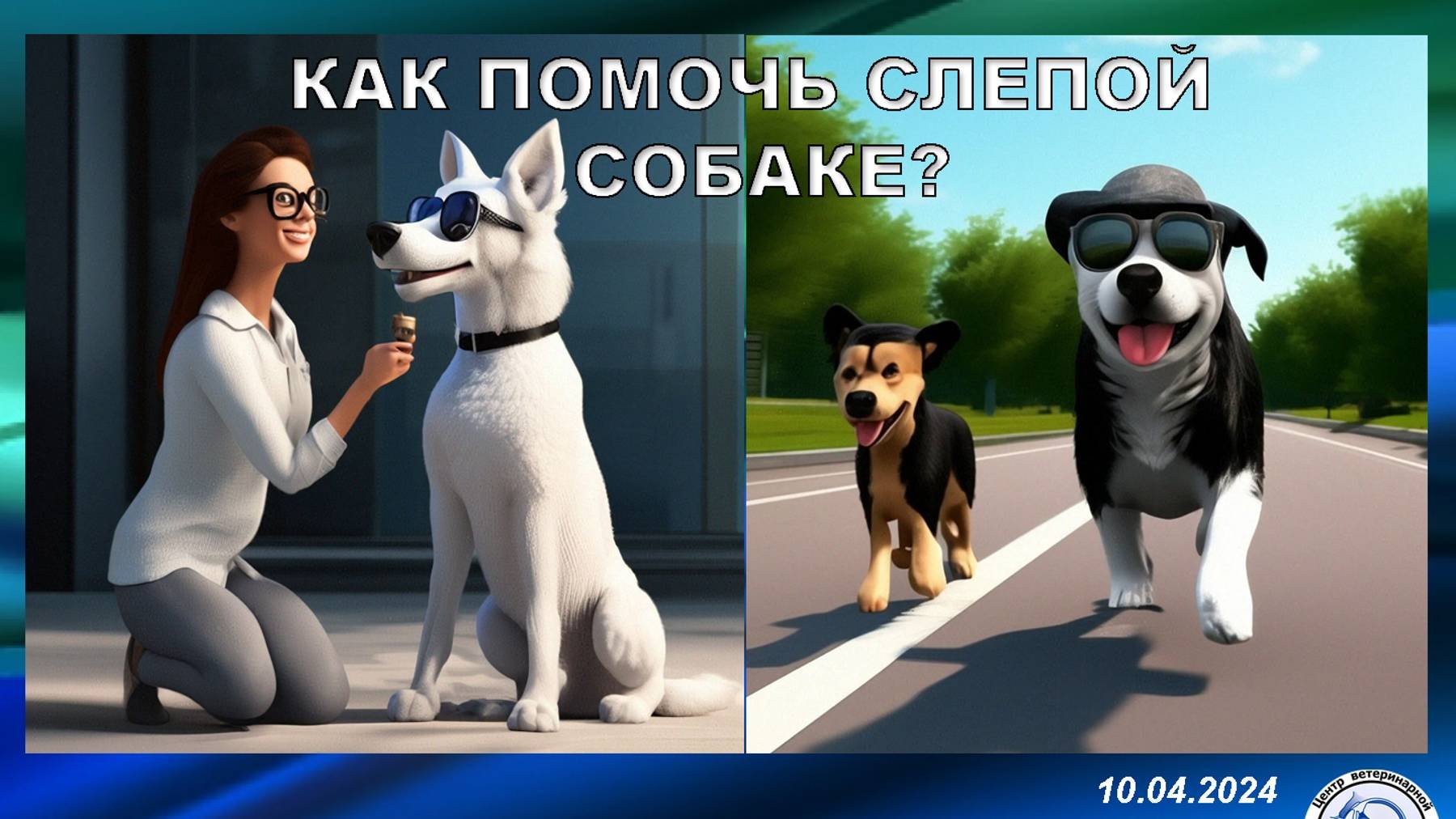 Как помочь слепой собаке?