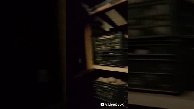 дачный фитнес - день ног