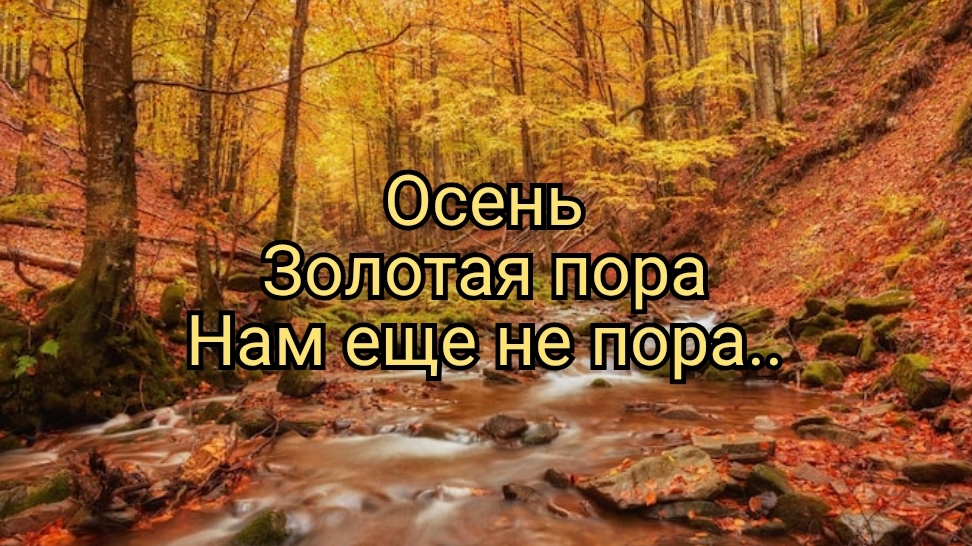 Осень. Золотая пора..