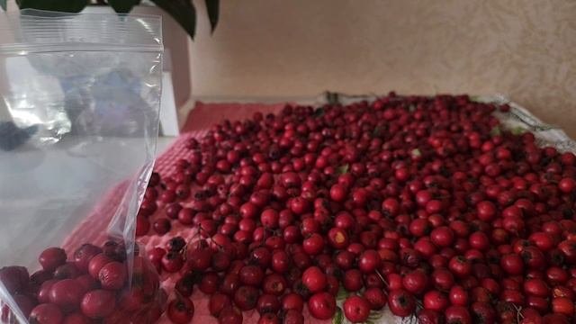 Заморозка боярышника, шарлотка с яблоком и малиной.