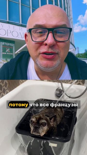 🐕🦺 У французского бульдога из ванны торчат 🐾