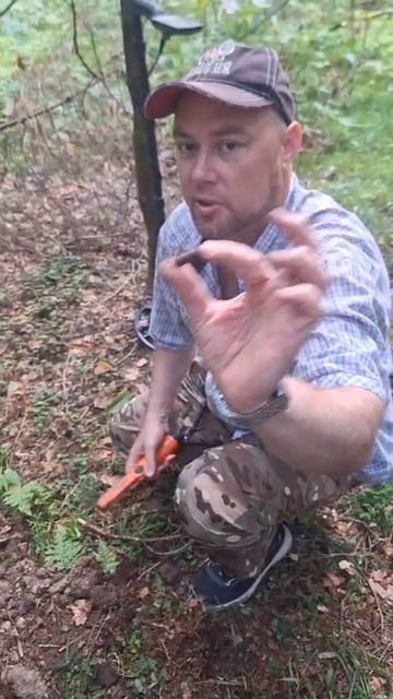 Коп в лесу. Есть находка #коп #копвлесу