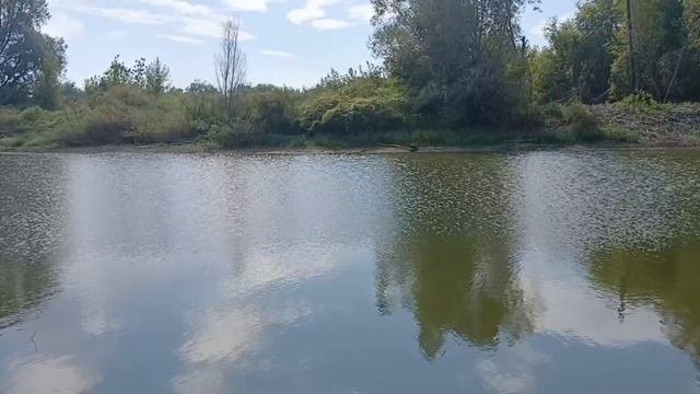 Тайны реки.Пение птиц, которое завораживает