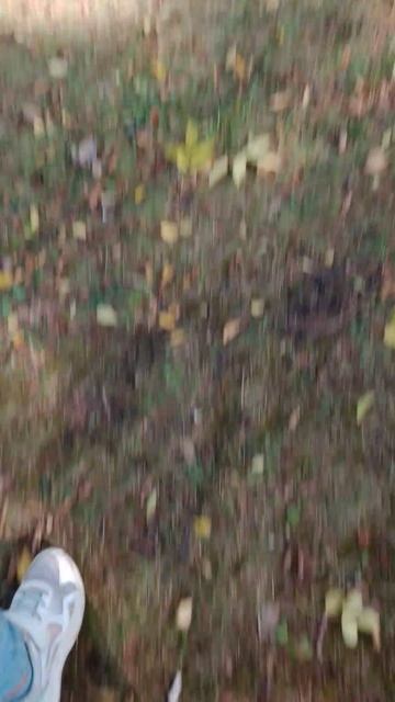 пытаюсь кормить белку