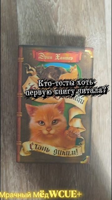 Чит опис.