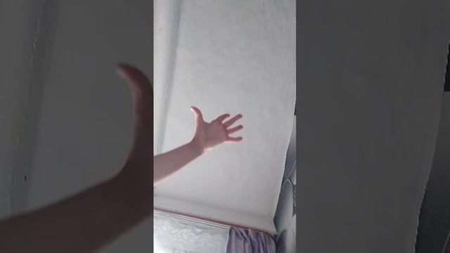 нвстя