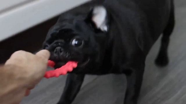 МОПС